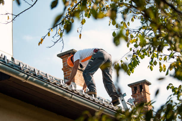 Best Roof Restoration Services  in Barron, WI