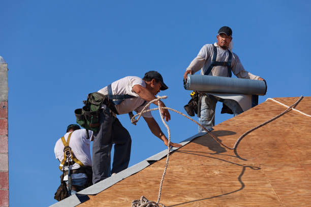 Best Roof Repair Specialists  in Barron, WI
